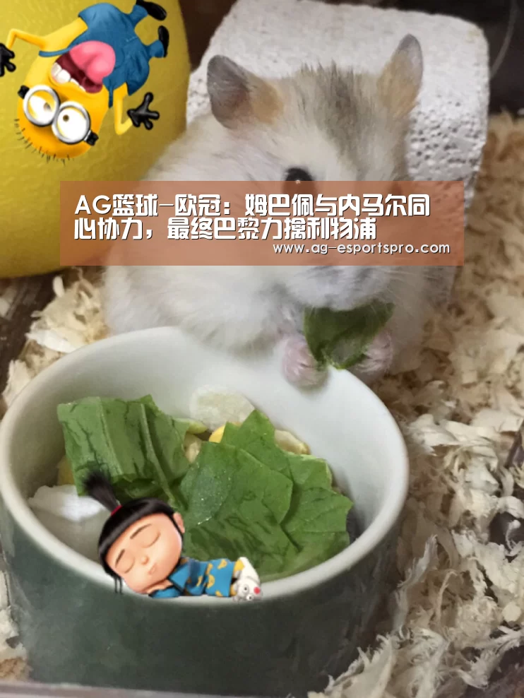 AG足球