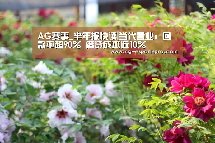 AG足球